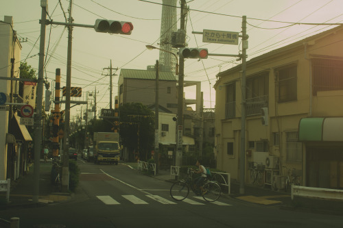 conflictingheart:  Photography By Masashi Wakui 