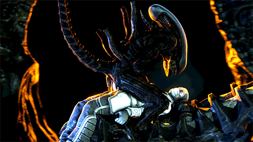 comradeivvan:  Webm GIF 