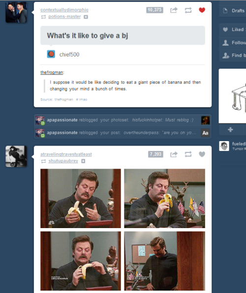 Ron Swanson: BJ expert