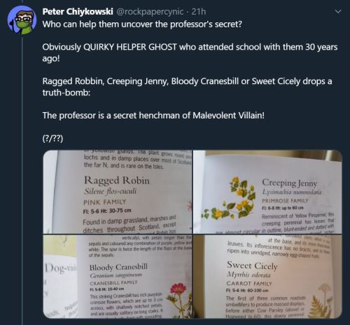 I decided to write a TERF-free Harry Potter knockoff using only the names of Scottish wildflowers an