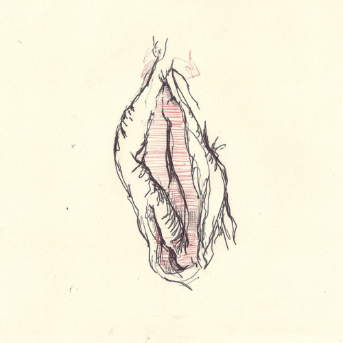 metakinky: Studies of the female genitalia.Black and red pen on paper. 