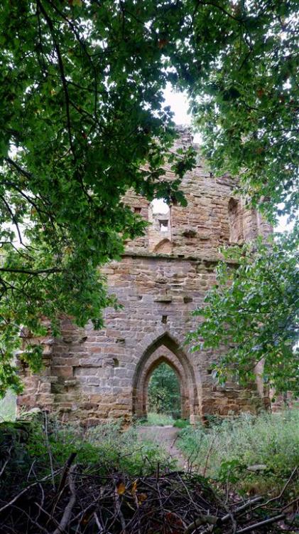 yorksnapshots:Through the Arches. Hackfall Castle a folly in North Yorkshire, England.