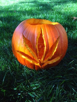 sadhippieslut:  Not your typical jack-o-lantern