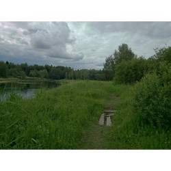 #Footpath. #WildLife 10   Near #PalacePark, Teplaya #river, #Gatchina