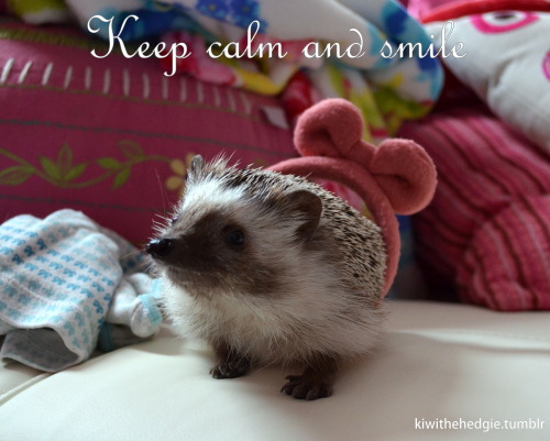 Keep Calm and Smile!!!! ^.^