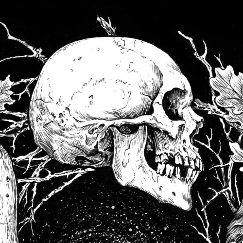 Detail from a recent record cover. #skull #illustration #blackmetal #metalart #deathmetal #darkart #