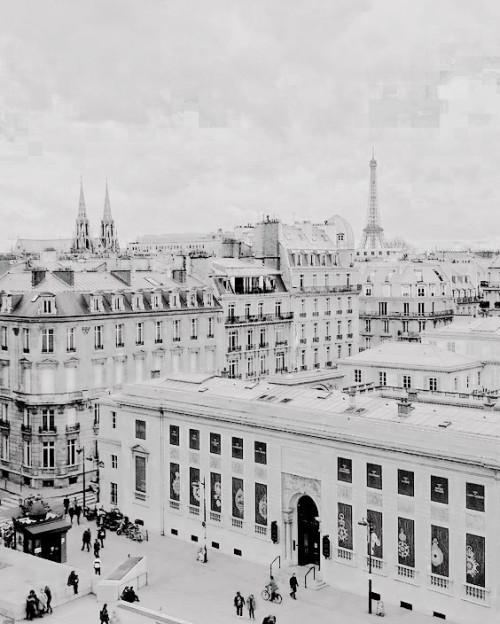 starkdust:paris