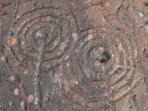 Achnabreck Rock Art, Argyll, Scotland, 25.7.16. A second visit to Kilmartin Glen provided me with so