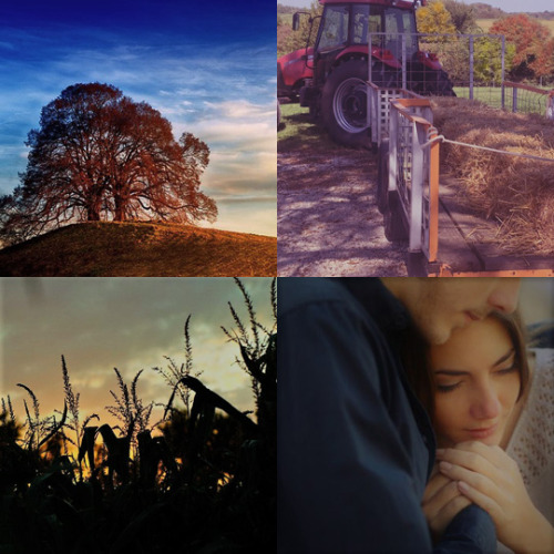 Hayride @ A03(moodboard For My Fic)
