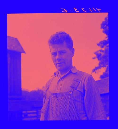 Mr. Uhro Miki, Finnish farmer in the submarginal area of Rumsey Hill, near Erin, New York.