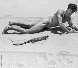 milkywayrollercoaster:  LizardsBruce Weber