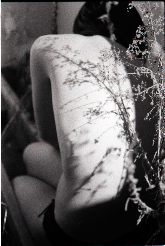 Cristina Altieri Photography