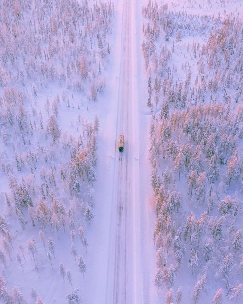 LAPLAND, FINLAND.Golden glow over the winter landscapes of Lapland, Finland.Credits: ww