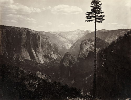 flashofgod:  Carleton Watkins, Yosemite Valley, adult photos