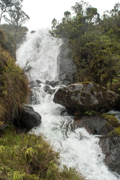 Mt Wihelm, Papua New Guinea