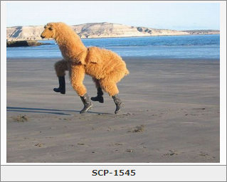 ask-ashley-chan:  verysaltyonions:  Wot  SCP-1545: the suit.