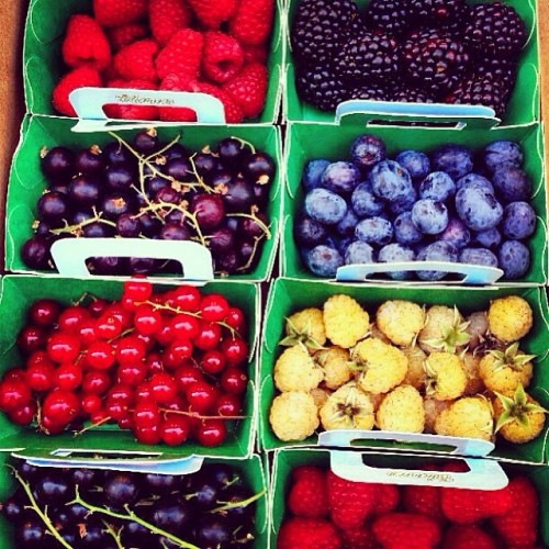 adventureswandering:  One of the berry best things about summer time? ALL the berries Nonno picks for us!!! 🍒🍇🍓❤️ #raspberries #blueberries #strawberries #berries #fruit #summer #healthy #organic 