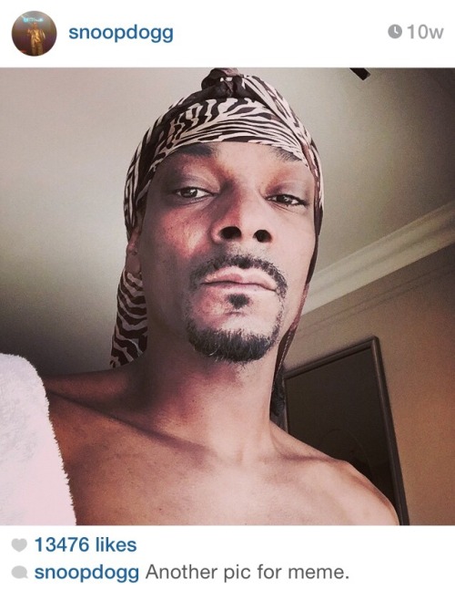 foxmulder:starshipspirk:  anustartpop:  snoop dog trying to become a meme has become a meme  Another pic for meme?