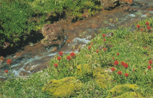 retrospectia:Beautiful Oregon, 1976