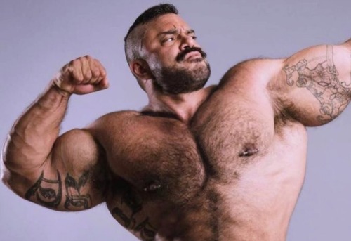 ludoliebig:Rogan Richards - muscle morph my MorphD