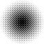 programrandom