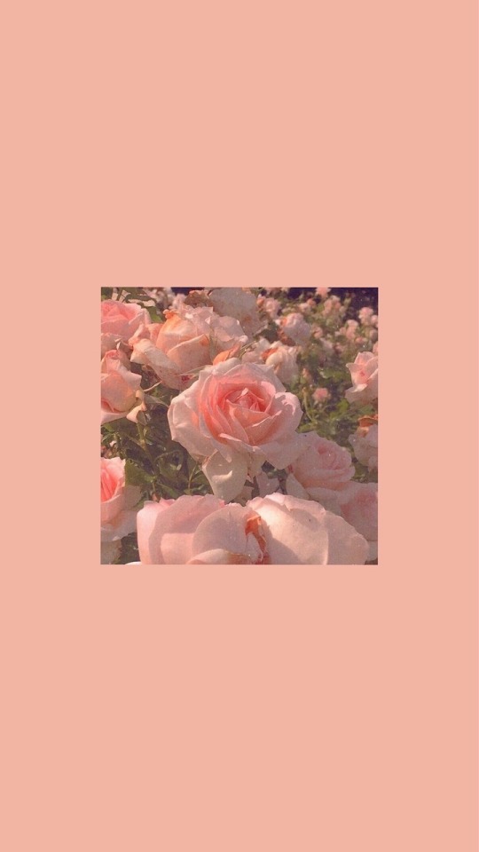 Aesthetic Backgrounds Tumblr Posts Tumbral Com Aesthetic Backgrounds Tumblr Posts Tumbral Com