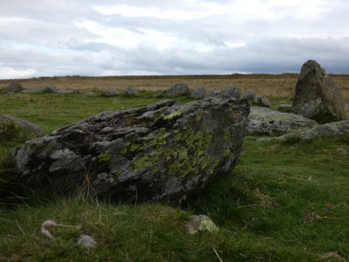 ‘The Cockpit’ Stone Circle, Moor Divock, Cumbria, 27.8.17. This large recumbent stone ci