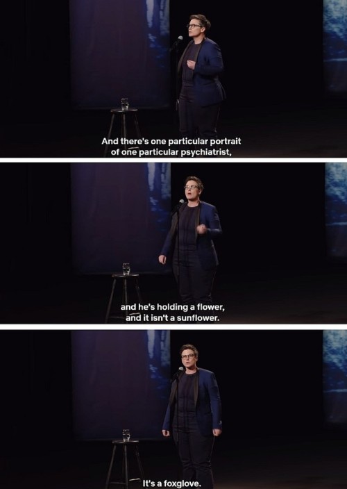 greenskyoverme: rosered3: wenchyfloozymoo: Nanette by Hannah Gadsby. 2/3 lesbian 1/3 art historian. 