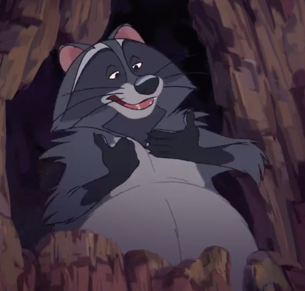 curritos:things that are important: the raccoon from brother bear 2