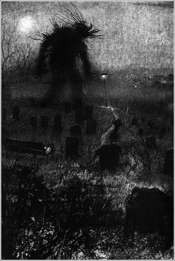redlipstickresurrected:Jim Kay (English, b. 1974, Derbyshire, England, based Northhampshire)