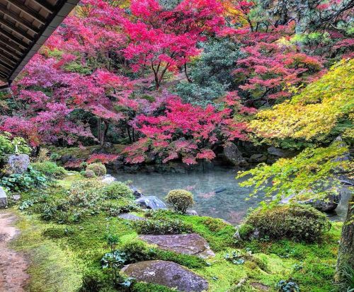 ＼おにわさん更新情報／ ‪[ 京都市左京区 ] 蓮華寺庭園 Renge-ji Temple Garden, Kyoto の写真・記事を更新しました。 ーー洛北の紅葉の名所。『詩仙堂』の庭園を作庭した 