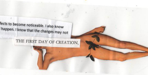 julykings:Details from my piece ‘Vital Figures’ - an artist’s book about the transitioning process a