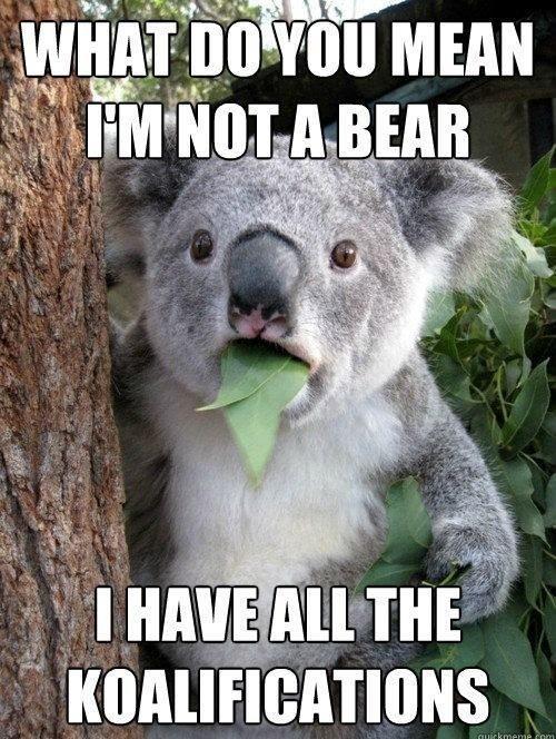 davincismurf:  Poor hummm thing lol
