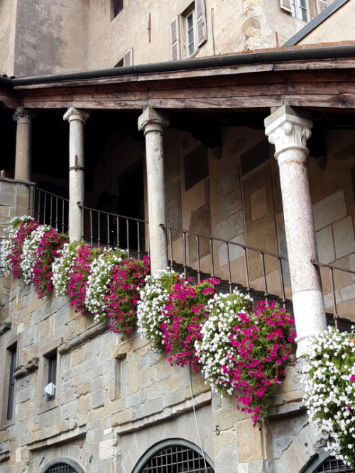 dearestvita: Bergamo, Italy