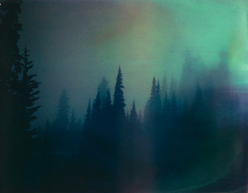  Carter Murdoch 