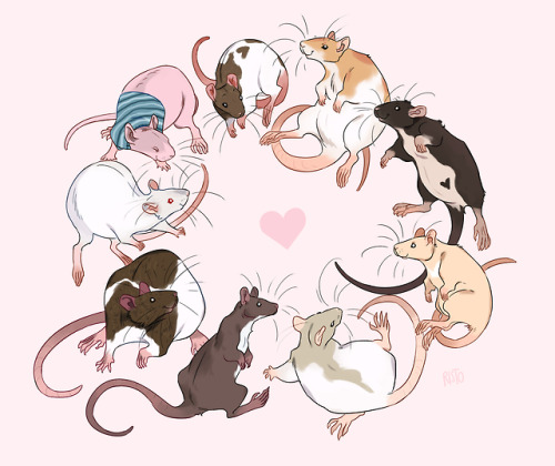 taylorsblue:risto-licious:rattylove!for sarita wolf I approve of this 