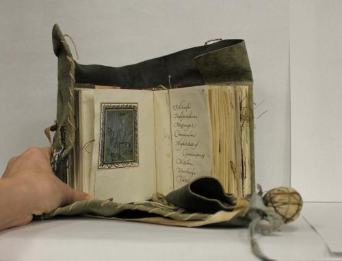  uispeccoll: Nest of Patience is a new acquisition from Kristin Alana Baum (Blue Oak Bindery) and Cheryl Jacobsen, calligraphy instructor at the Center for the Book. A collaboration based on a medieval girdle book, Nest of Patience is a contemporary Book