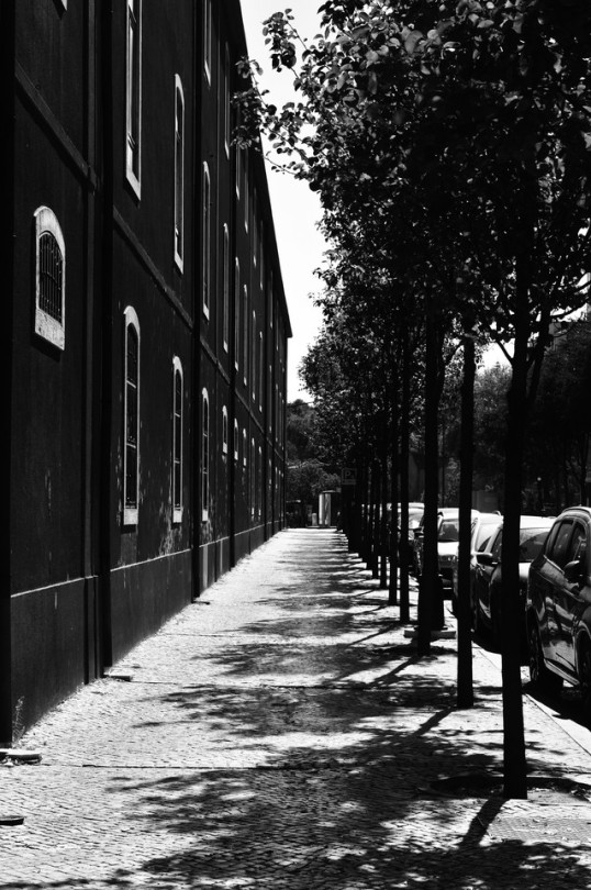 Random Shots, Many Faces Of Lisbon. 