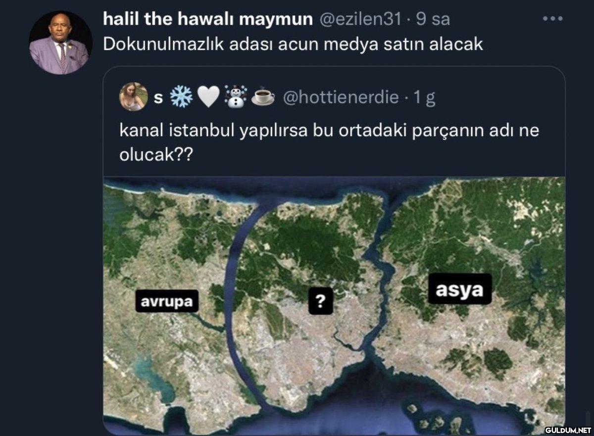 halil the hawalı maymun...