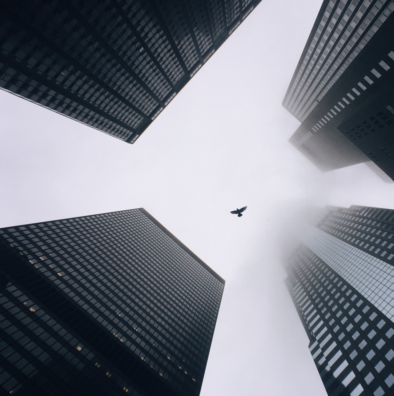 danielodowd:  http://cocu.vsco.co/
