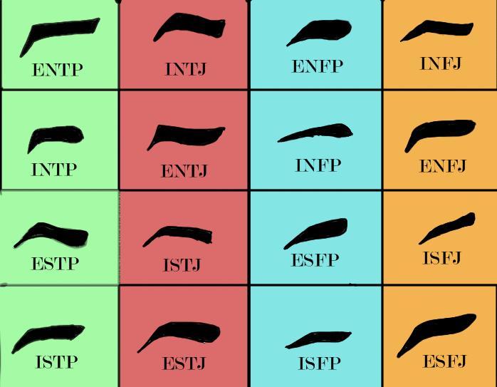 Snake MBTI Personality Type: ESTP or ESTJ?