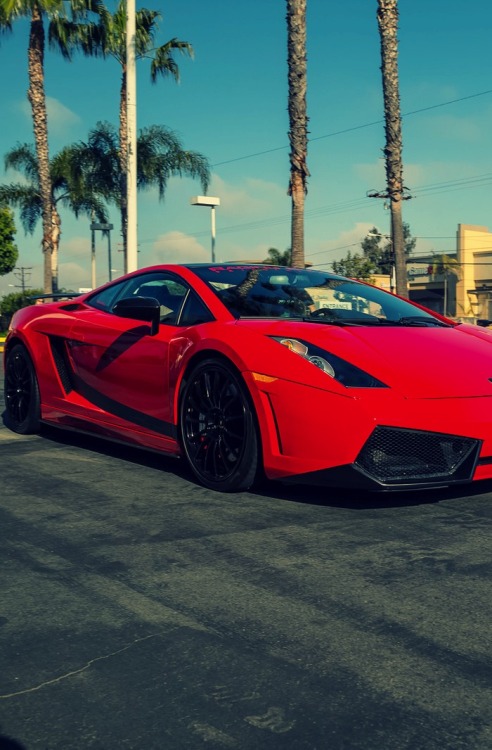 dreamer-garage:Lamborghini Gallardo (via) 