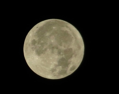 Full moon. That really bright crater near the top is called Aristarchus. The big one just below left