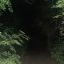 hurttothebone