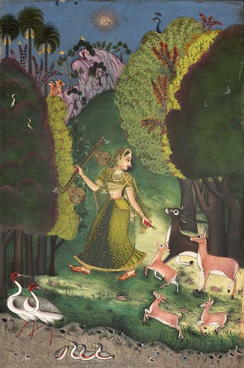 magictransistor: Rajput, Kangra and Mughal style paintings (15th-19th century), India.