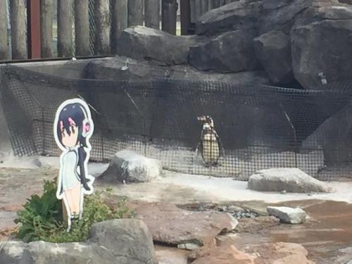 Grape-kun Left Our World Two Years Ago, But He Has Not Left Our Hearts.
