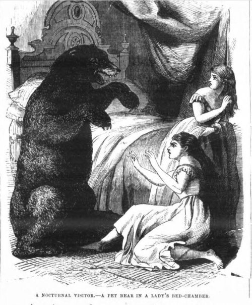 &ldquo;A nocturnal visitor. - A pet bear in a lady&rsquo;s bed-chamber.&rdquo; Unidentified illustra