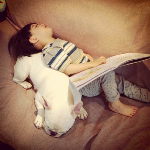  Cute Friendship Between Boy & His Bulldog adult photos