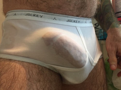Sex pup-sleeves-underwear-pics:  Pup in His Jockey pictures