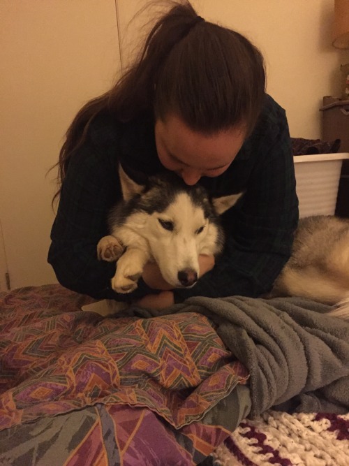kovu-the-husky: She holds me when I’m sleepy
